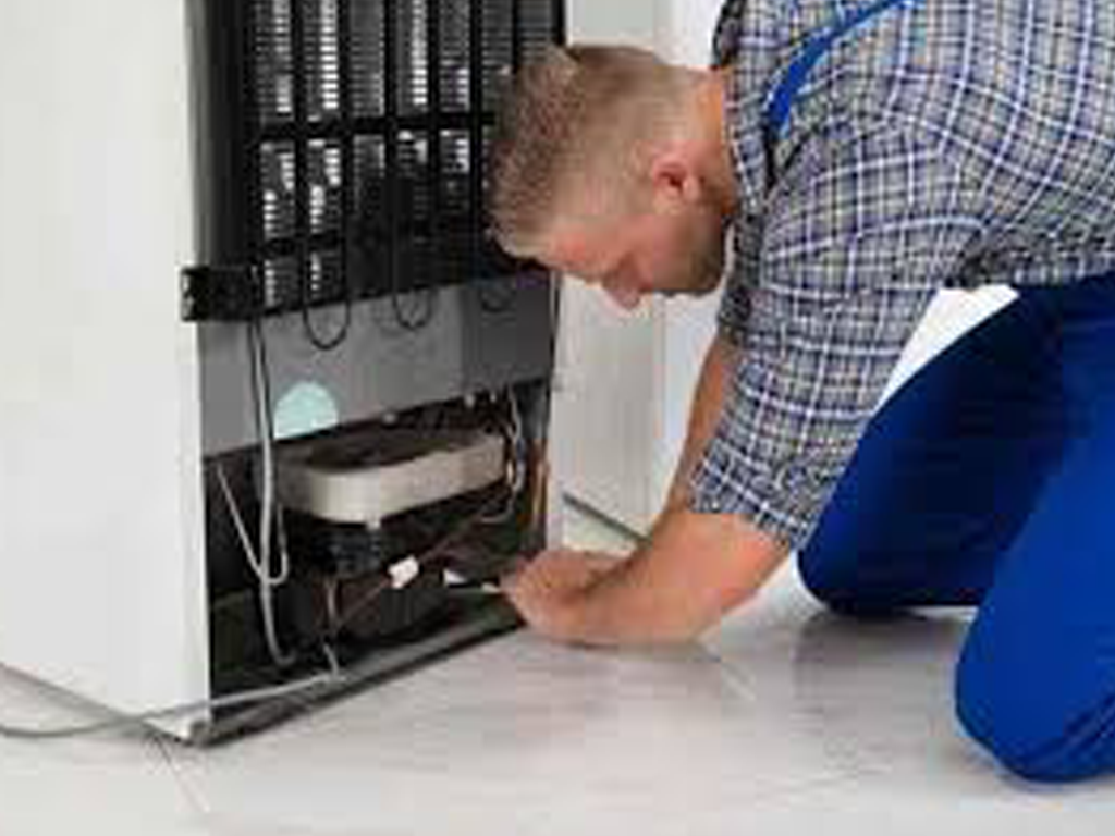 Fridge maintenance